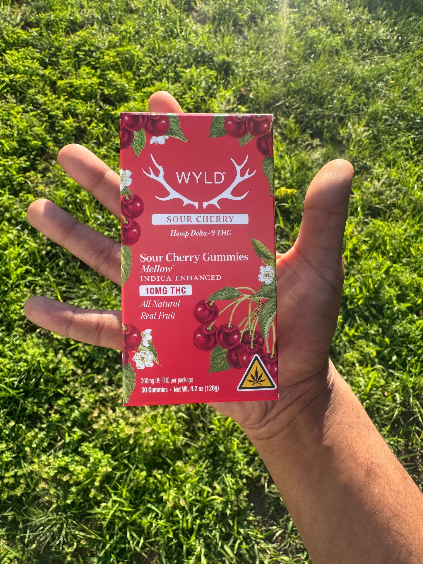 WYLD 300 mg D9 THC GUMMY PACK