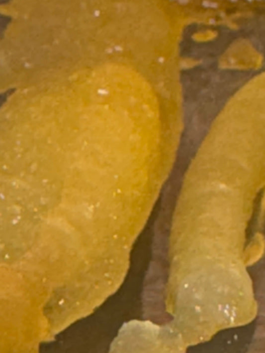 BUDGET FRIENDLY  BADDER