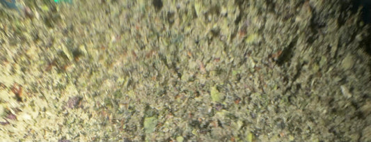 LEMON CHERRY GELATO SHAKE