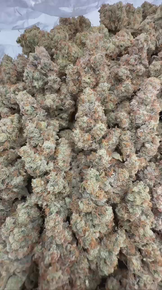 MANGO HAZE
