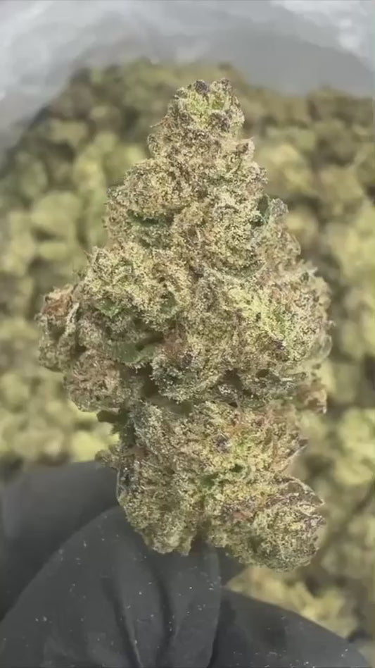 GRAPE GAS THCA FLOWER