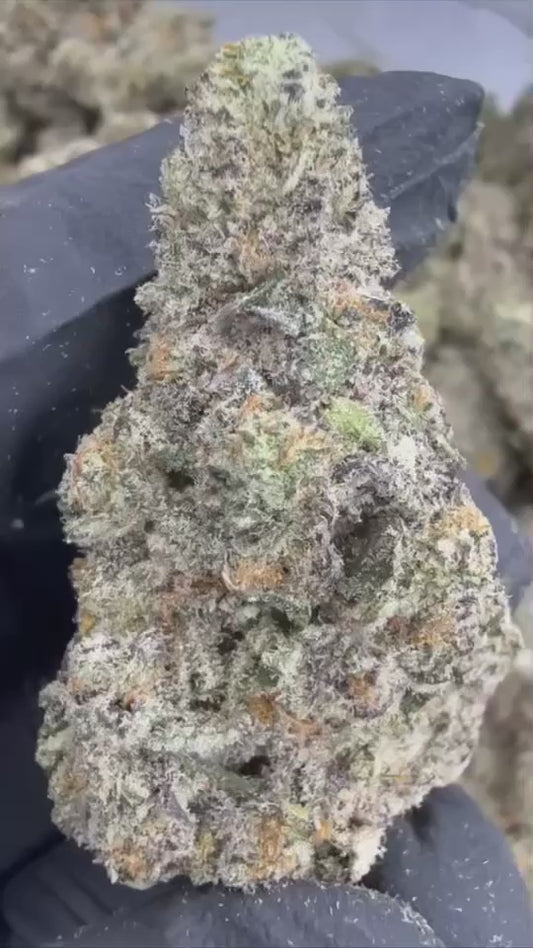 WHITE CHOCOLATE CHIP THCA FLOWER